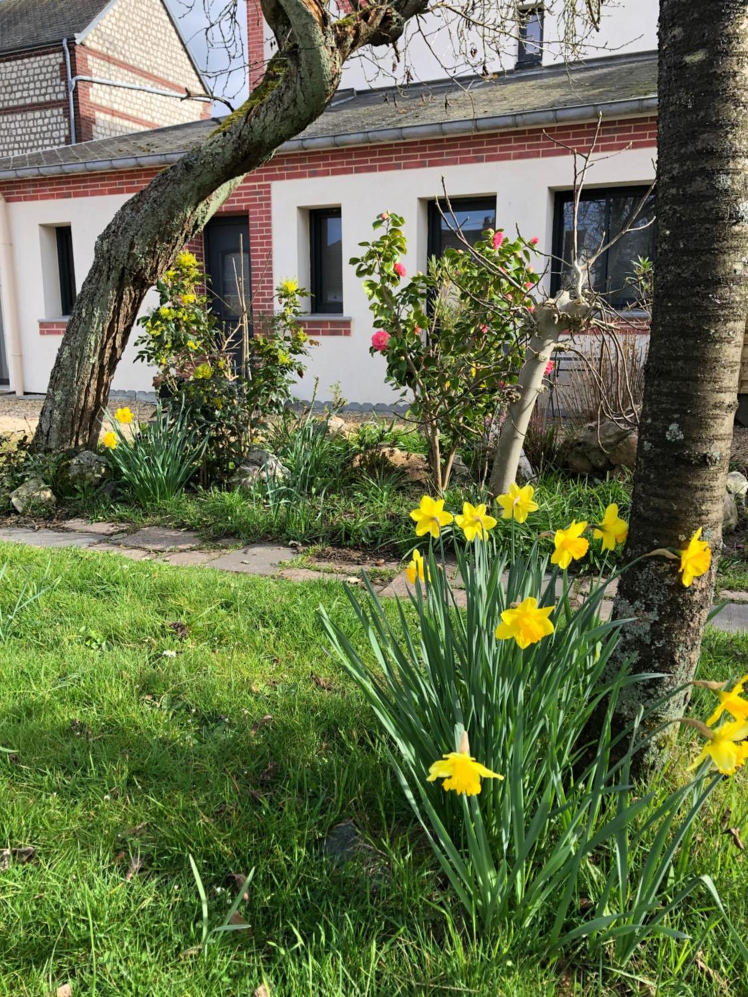 Les Cles D'A Cote - Maison D'Hotes De Charme Pres De Rouen Sotteville-lès-Rouen Kültér fotó